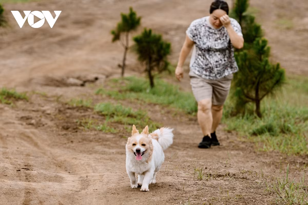 Vào những buổi chiều, không khí nơi đây vô cùng trong lành, dễ chịu. Rất nhiều người dân địa phương còn mang theo cả những chú thú cưng lên đồi tập thể dục.