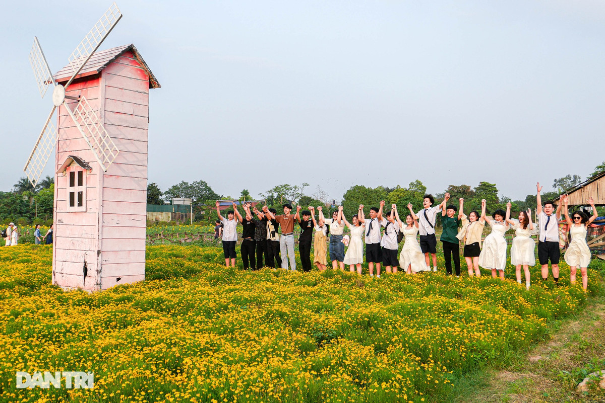 Khu vực Thảo nguyên hoa Long Biên cũng là địa điểm được nhiều bạn trẻ lựa chọn tới cắm trại hay chụp ảnh.