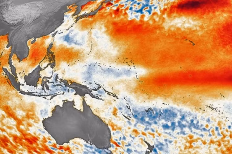 Sóng Kelvin được xem như một dấu hiệu báo trước El Nino khi hình thành ở xích đạo và chuyển tầng nước ấm bên trên tới Tây Thái Bình Dương.