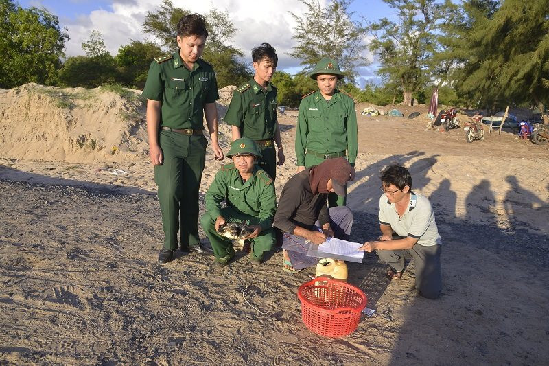 Cá thể đồi mồi này được anh Hồ Chí Bảo (sinh năm 1999, ở ấp Hồ Tràm, xã Phước Thuận, huyện Xuyên Mộc) phát hiện và bắt được khi đi bắt ốc tại khu vực bãi tắm công cộng Hồ Tràm thuộc xã Phước Thuận.