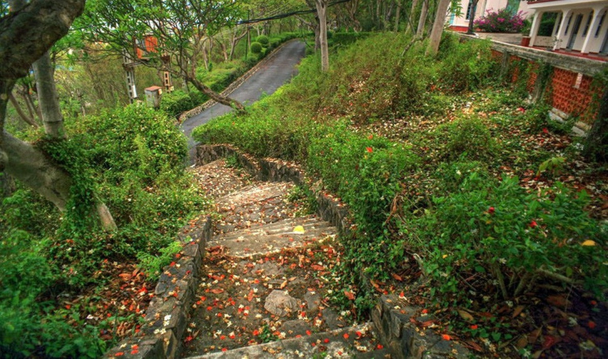 5 biệt thự cổ trên vốn thuộc khu biệt điện dành cho vua Bảo Đại, đều nằm trên khu đầu núi Cảnh Long thuộc phía đông đường Trần Phú và trên vịnh Nha Trang.