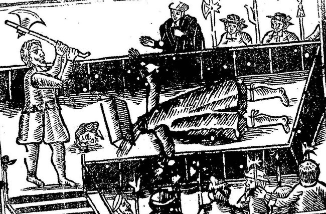 Đao phủ Franz thi hành bản án tử hình đối với hàng trăm tử tù. Ông thường chuẩn bị tỉ mỏ cho mỗi buổi thi hành án nhằm đảm bảo mọi việc diễn ra thuận lợi và ít gây đau đớn nhất cho tử tù.