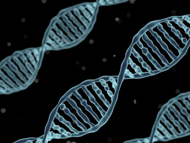 Sở dĩ các nhà khoa học gọi đó là "bộ tộc ma" là bởi bộ tộc này chưa từng được con người biết đến cho tới thời điểm hiện nay.