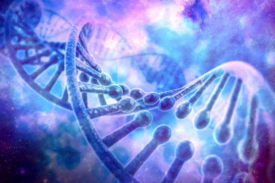 Với phát hiện này, các chuyên gia từng bước làm sáng tỏ cách hominini (tông người) cổ xưa được thêm vào biến thể di truyền của người châu Phi hiện nay, vốn chưa được giới khoa học hiểu rõ. Từ lâu, châu Phi được biết đến là lục địa đa dạng di truyền nhất trên thế giới.