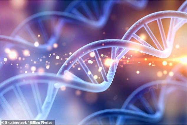 Điều này tương tự như việc người châu Âu thời cổ đại đã giao phối với người Neanderthal.