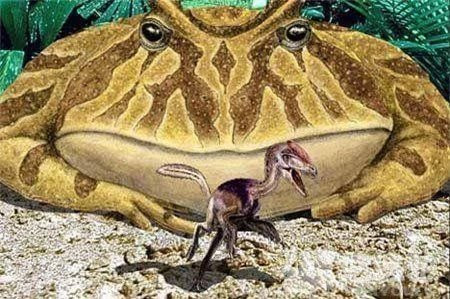 Con ếch lớn nhất lịch sử có thể ăn cả khủng long bạo chúa Con ech lon nhat lich su co the an ca khung long bao chua
