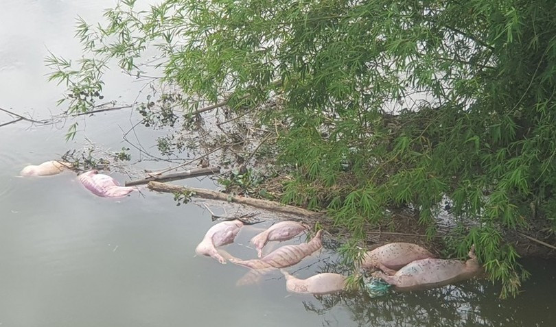 Da xac dinh duoc 2 doi tuong vut lon chet xuong song Ngan Truoi-Hinh-2