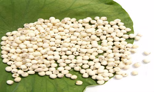 Dieu tri hoi chung ruot kich thich hieu qua, an toan bang Dong y-Hinh-3