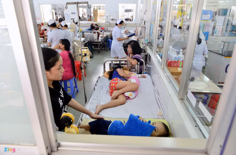 TP. HCM đang vào mùa cao điểm của dịch sốt xuất huyết, 6 tháng đầu năm đã tiếp nhận hơn 10.000 ca bệnh, 4 người tử vong.