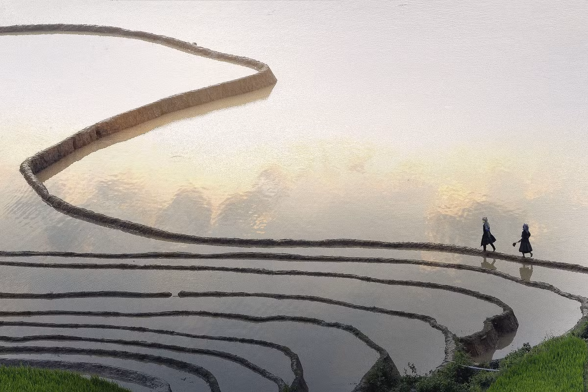 Ruộng bậc thang ở Yên Bái, tỉnh miền núi phía bắc Việt Nam. Ảnh USN