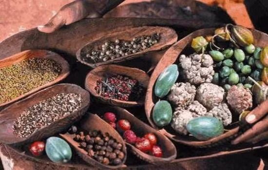 Bush Tucker: Bush Tucker là món ăn truyền thống của người dân Úc có nguồn gốc từ thời thổ dân xa xưa. Nó được chế biến từ các loại thảo mộc đặc trưng cùng những loại động vật săn bắn được cũng như những loại côn trùng, sâu, nhộng…và phải do đầu bếp người bản xứ thực hiện.