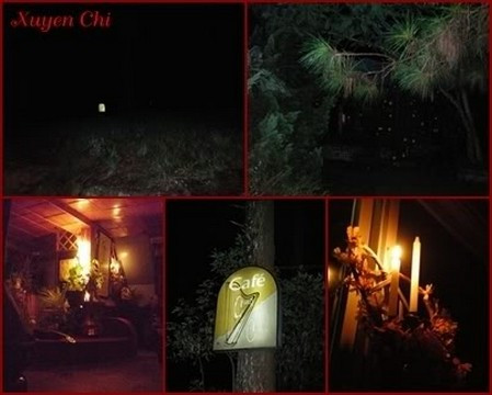 7. Cung Tơ Chiều (Lê Hồng Phong) giấu mình trên quả đồi cạnh đường lên Dinh 3 với chỉ dẫn là tấm bảng gỗ Cung Tơ. Quán nhỏ, không gian nhỏ, tiếng người càng nhỏ khiến mọi thứ thêm dễ chịu. Ảnh: Xuyến Chi.