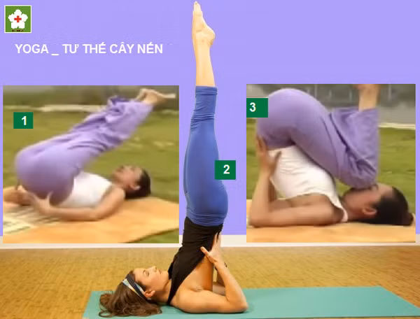 Vì vậy, sẽ rất nguy hiểm khi tập yoga mà không có sự hướng dẫn chỉ bảo cặn kẽ của các nhà chuyên môn y tế hay thể thao.