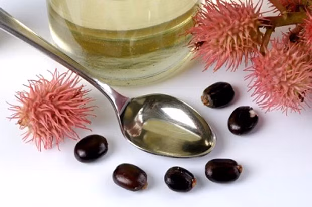 Dầu cây thầu dầu. Dầu thầu dầu được xem là loại kem dưỡng ẩm tốt nhất dành cho vùng da nhạy cảm dưới mắt. Thoa dầu thầu dầu vào các nếp nhăn và massage nhẹ nhàng để loại bỏ nếp nhăn một cách tự nhiên. Lặp lại phương pháp này hàng ngày để ngăn ngừa và điều trị nếp nhăn sâu một cách hiệu quả. 