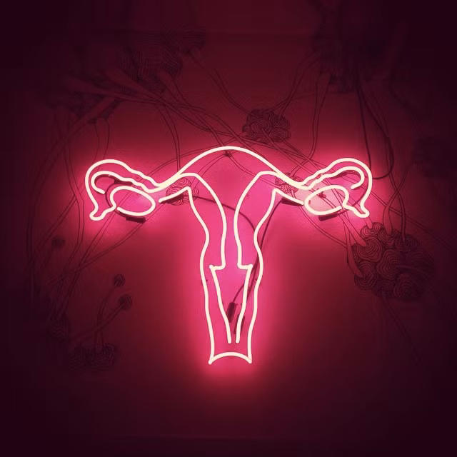 Kinh nguyệt không chỉ có máu. Máu là chất dịch màu đỏ trôi theo âm đạo trong mỗi chu kỳ kinh nguyệt, gồm 50% máu được trộn lẫn với những lượng thay đổi gồm chất nhầy và những màng rụng của niêm mạc tử cung bị bong ra, kèm theo là những tế bào ở cổ tử cung và âm đạo nữa.