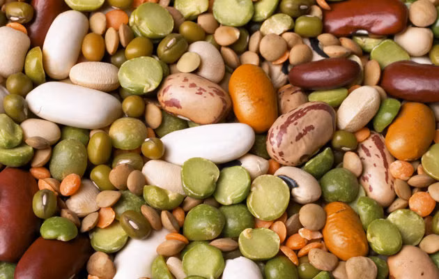 Các loại đậu. Các nghiên cứu cũng phát hiện ra rằng việc tiêu thụ các loại hạt đậu như đậu lăng, đậu xanh giúp giảm nguy cơ ung thư vú. Đậu cung cấp nguồn protein thực vật tuyệt vời cũng như các chất dinh dưỡng cần thiết cho cơ thể như canxi, sắt và các vitamin B.