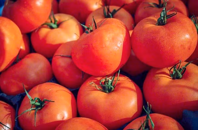 Cà chua. Cà chua chữa ung thư nhờ vào lycopene – sắc tố làm cho cà chua có màu đỏ – hoặc cái gì khác chưa rõ ràng. Tuy nhiên, một số nghiên cứu có liên quan đến ăn cà chua để giảm nguy cơ bị một số loại ung thư bao gồm ung thư tuyến tiền liệt, ung thư vú.