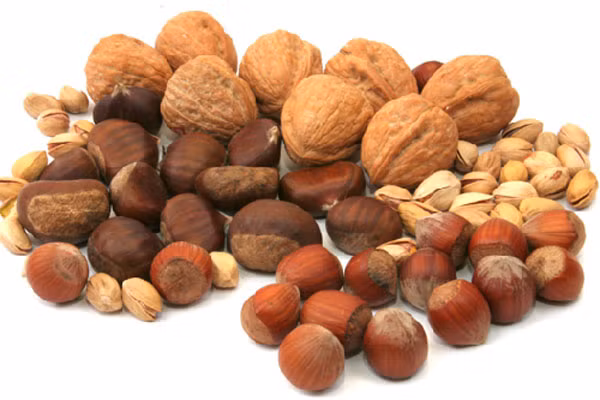 Một nghiên cứu kéo dài 30 năm khảo sát 15.000 phụ nữ cho thấy những người ăn hạt hạch 5 lần/tuần có trí nhớ và tập trung tốt hơn (phần thùy thái dương).