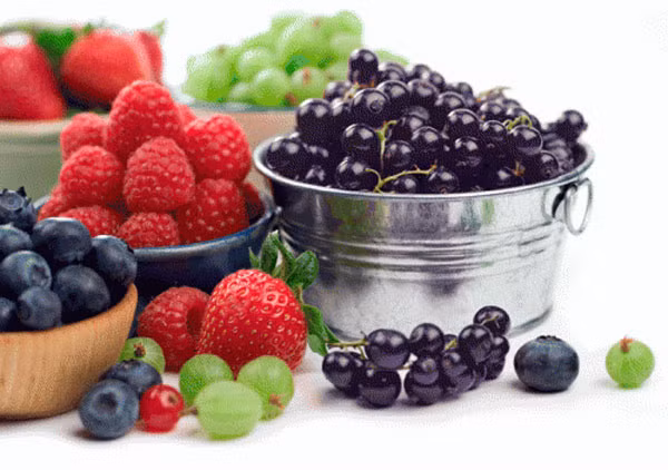 Nghiên cứu cũng phát hiện tiêu thụ các loại quả mọng này giúp cải thiện trí nhớ, sự tập trung và thị lực (được điều khiển bằng thùy chẩm) bằng cách tăng lưu lượng máu đến các phần của não.