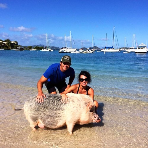 Hiện nay, Ziggy nặng đến 115 kg.