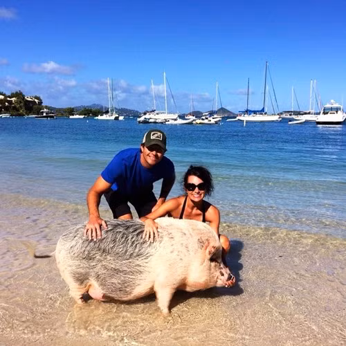 Hiện nay, Ziggy nặng đến 115 kg.