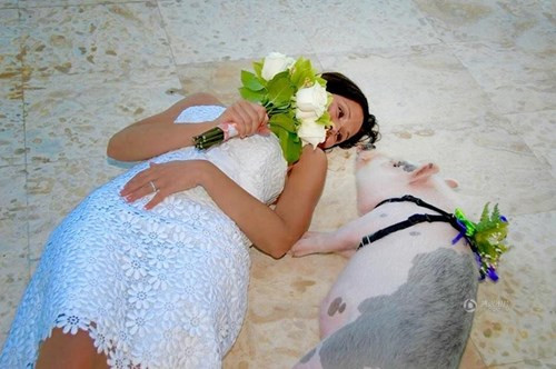 Cô Kristin rất cưng chiều và coi Ziggy như người trong gia đình.