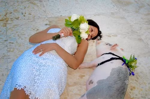 Cô Kristin rất cưng chiều và coi Ziggy như người trong gia đình.