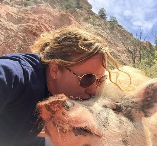  Chú lợn đáng yêu...selfie cùng mẹ nuôi.