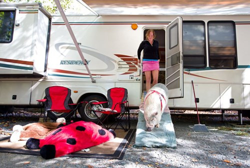 Họ đã thuê hẳn một chiếc xe tải để cùng nhau đi du lịch.