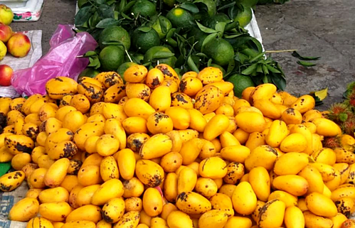 Ngap cho la nhung loai qua nay, hang Trung Quoc chi em van tranh nhau mua-Hinh-3