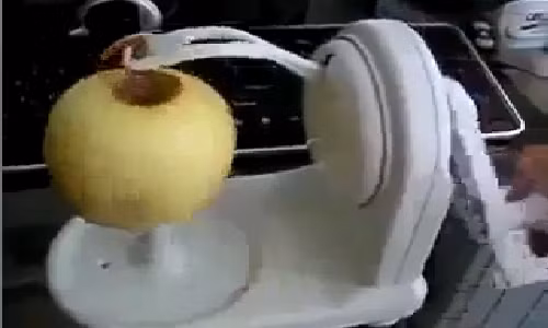 Hoat dong chi tiet cua may got vo trai cay tien dung