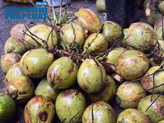 Bi mat bat ngo phia sau nhung trai dua xiem 6 nghin dong-Hinh-2