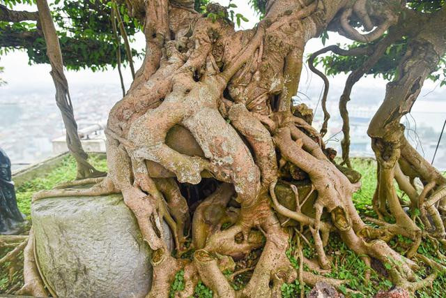 Sanh co the chua hoan thien nhung da duoc dinh gia toi 4 ty-Hinh-3