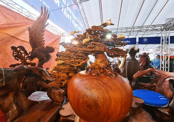 Nhiều cây cảnh độc lạ vừa và nhỏ khác cũng được rao bán với giá từ vài triệu đến vài chục triệu đồng.