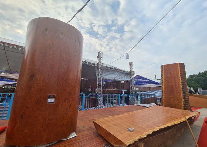 Khúc gỗ nu Gõ được bày bán tại gian hàng.