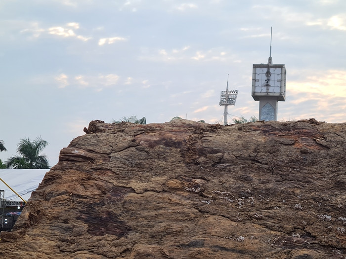 Lớp vỏ ngoài của khúc gỗ rao bán 10 tỷ đồng này còn xuất hiện những cây nấm nhỏ "sống nhờ" bên trên.