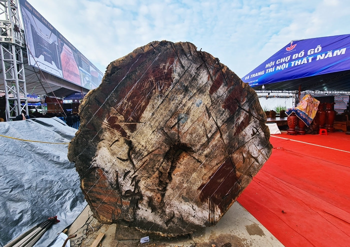 Theo nhân viên tại gian hàng, sở dĩ khúc gỗ lớn này được rao bán với giá 10 tỷ đồng vì đây là gỗ cẩm lai có tuổi thọ khoảng 5.000 năm, được đưa về từ Châu Phi.