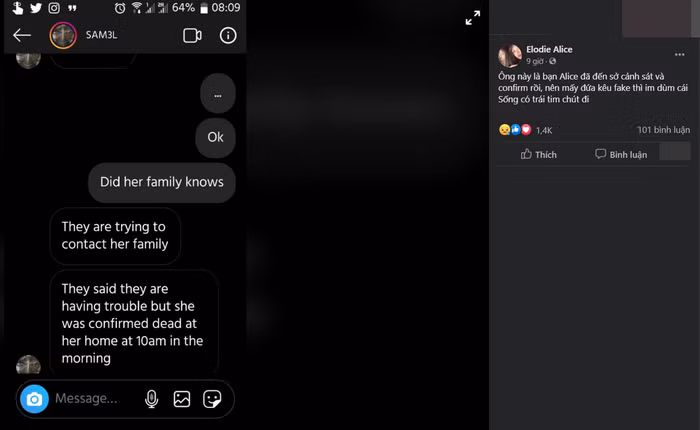 Hotgirl goc Viet qua doi tai nha rieng, nguyen nhan cai chet la gi?-Hinh-10