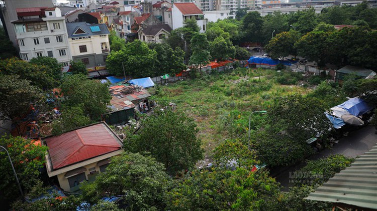 Ngoai Diamond Flower, Handico6 om nhieu du an dinh lum xum?