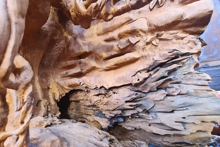 Phần mòn của phôi gỗ được anh Long thuê nghệ nhân trạm khắc theo cảm hứng và ý tưởng của mình một cách sáng tạo, khiến du khách đến đây đều cảm thấy thích thú.