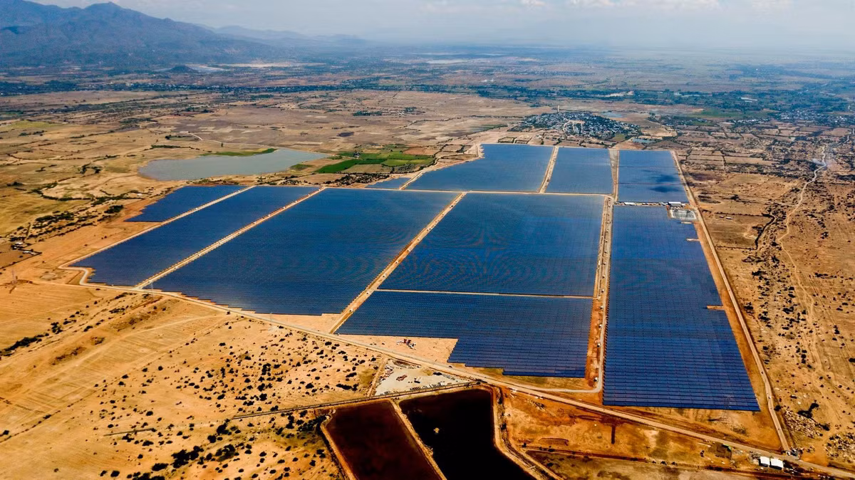 Vi sao ngay cang nhieu “ong lon” nhay vao linh vuc dien mat troi?