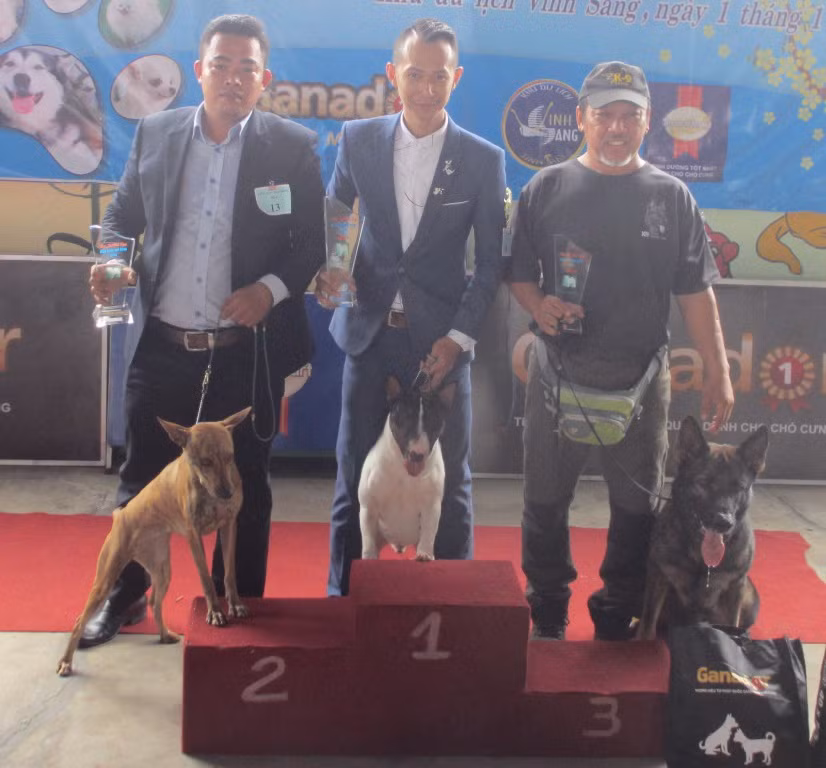 Ba chú chó đoạt giải cao nhất trong cuộc thi hoa hậu chó đầu năm 2018 vừa qua.