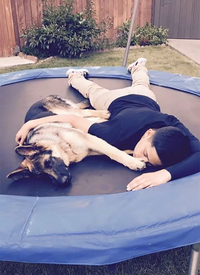 Vào ngày 21/2 vừa qua, một số kẻ trộm có vũ trang đã xâm nhập vào ngôi nhà của gia đình Mercado. Không may trong lúc đó chỉ có cậu thiếu niên Javier Mercado, 16 tuổi đang ở nhà cùng với con chó cưng trung thành của gia đình tên là Rex, 2 tuổi.