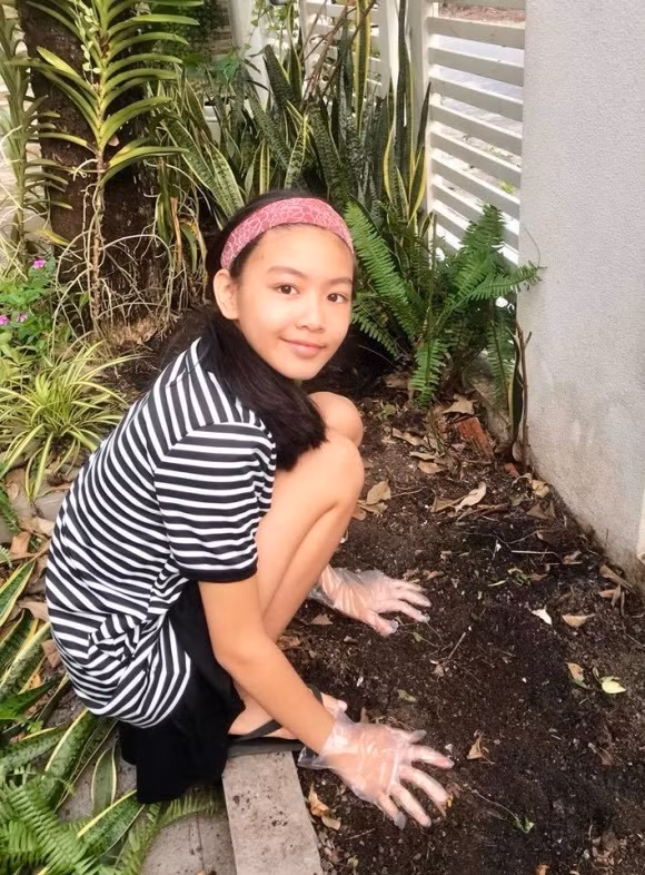 thu hoạch các loại rau, quả.