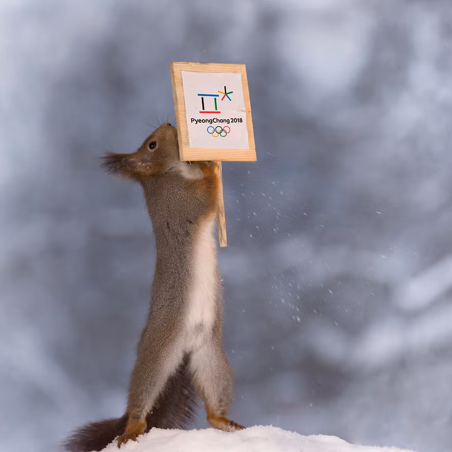 Ông chuẩn bị những vật dụng, dụng cụ sẵn và đặt tại một địa điểm đã định sẵn trong vườn.