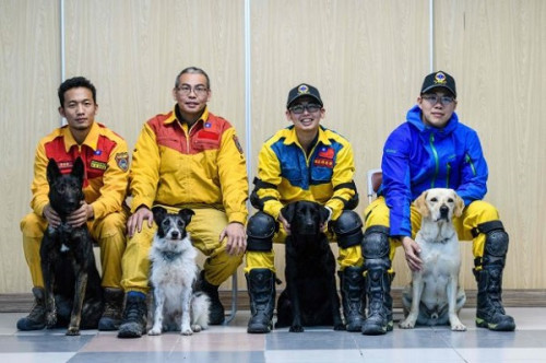 Các nhân viên cứu hộ và những chú chó dũng cảm (Hsiung bên trái) - Ảnh: TheStar