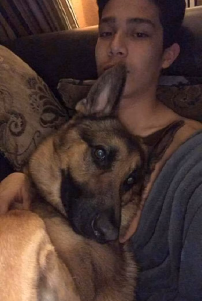 Theo thông tin đăng tải, sự việc xảy ra vào buổi trưa, khi Javier nghe thấy tiếng ồn, cậu chạy ra nhìn vào cửa sổ và thấy một chiếc xe lạ.