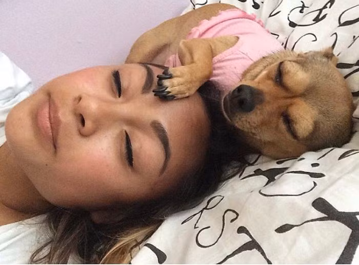 Lúc ngủ, chó cưng vẫn không quên bắt chước dáng điệu của cô chủ mình.