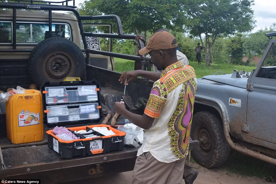 Khi voi mẹ tỉnh lại, voi con vô cùng vui mừng và lao vào bú mẹ ngay.