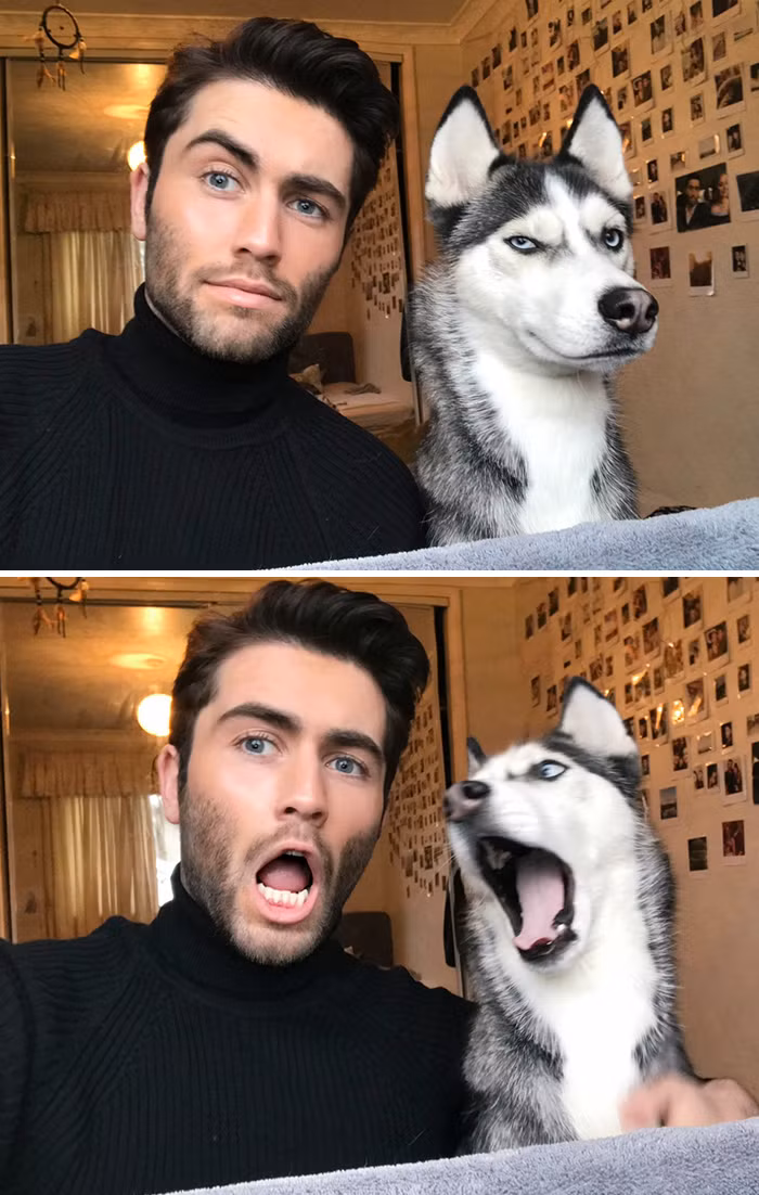 Trong ảnh là Liam Rice và chó cưng đáng yêu Luna của mình. Đáng nói, Luna rất hay bắt chước biểu cảm trên khuôn mặt của Liam, khiến bức ảnh trở nên hài hước, thu hút.